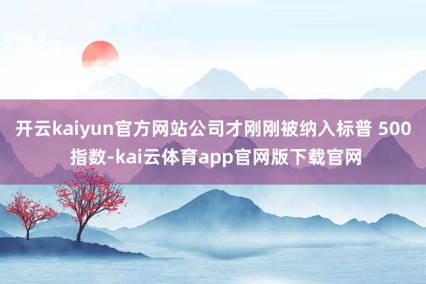 开云kaiyun官方网站公司才刚刚被纳入标普 500 指数-kai云体育app官网版下载官网
