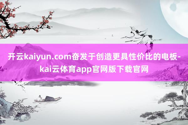 开云kaiyun.com奋发于创造更具性价比的电板-kai云体育app官网版下载官网
