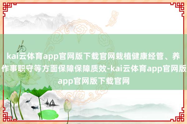 kai云体育app官网版下载官网栽植健康经管、养老职业、作事职守等方面保障保障质效-kai云体育app官网版下载官网