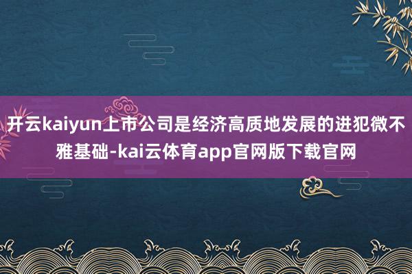 开云kaiyun上市公司是经济高质地发展的进犯微不雅基础-kai云体育app官网版下载官网