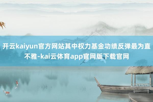 开云kaiyun官方网站其中权力基金功绩反弹最为直不雅-kai云体育app官网版下载官网